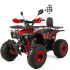 Benzīna kvadracikls 125cm3, 3+1, 8" XTR 002/8 PRO Fireshot 