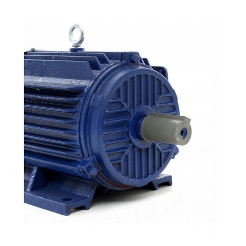 Trīsfāzu elektromotors 5500 W 5,5 kW 380 V 1450 apgr./min. (KD1819)