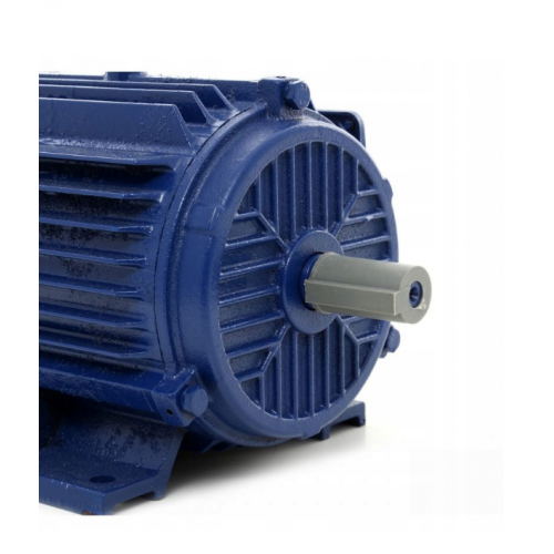 Trīsfāzu elektromotors 380 V 2850 apgr./min 5,5 kW 50 Hz. (KD1820)