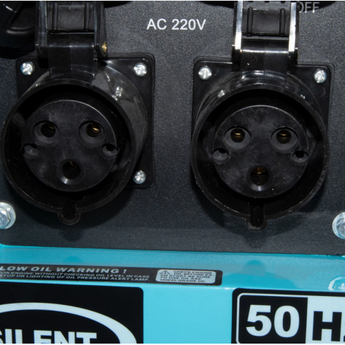 Vienfāzes Dīzeļģenerators (TP10000DGS)