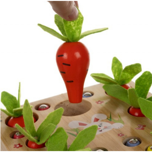 Koka spēle bērniem 2-in-1 Kruzzel (00024745)