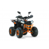Benzīna kvadracikls 125 cm³ 1+1 4T Commander Light ar automātisko pārnesumkārbu, LED lukturiem un hidraulisko aizmugures bremzi (007/8)
