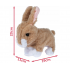 Interaktīva rotaļlieta - zaķa plīša berniēm (107254)