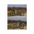 Kalnu velosipēds MTB Target 26'' MalTrack (107765)