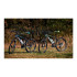 Kalnu velosipēds TEAM STEEL GREEN 26" MalTrack (107777)