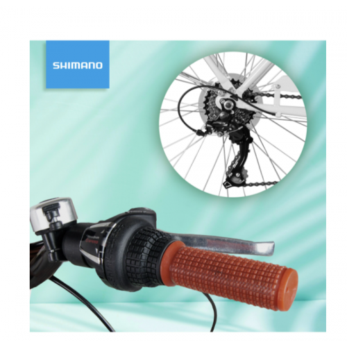 Pilsētas velosipēds MalTrack Citybike Dreamer 6 ātrumu balts 28" + grozs (111669)