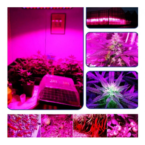Lampa augu audzēšanai 225 diodes 45 W UV Heckermann (13984245)