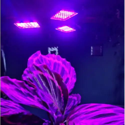 Lampa 108 LED augu augšanai Gardlov 20440