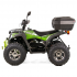 Benzīna kvadracikls ASIX MAGNUM 200 200cc, 10", Euro5 - T3B(Elektriskais starts)