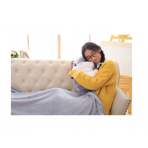 Хомяк с одеялом, плюшевая подушка 160x110 см, мягкая игрушка 3 в 1 (B48X)