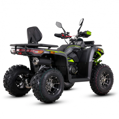 Бензиновый квадроцикл с лебедкой 250 см³, 10 дюймов, Challenger250RR от Asix Motors