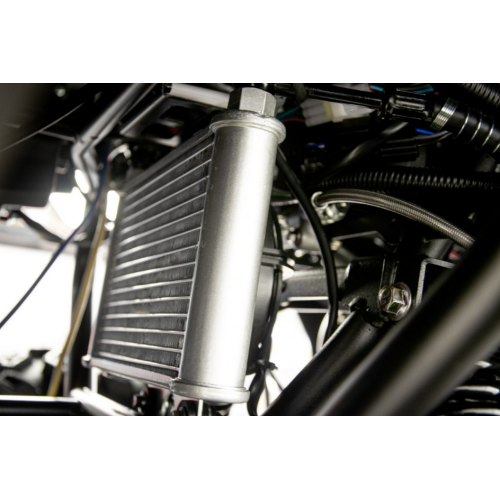 Benzīna kvadracikls ar vinču 250cm3, 10", 1+1, CYBER250RR no Asix Motors