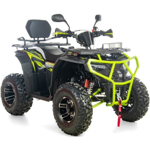 Benzīna kvadracikls ar vinču, 250 cm³, 1+1, 10" XTR-019/10 Farmer X1 (FARMER X1 PRO 250)