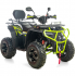 Benzīna kvadracikls ar vinču, 250 cm³, 1+1, 10" XTR-019/10 Farmer X1 (FARMER X1 PRO 250)