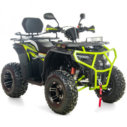 Benzīna kvadracikls ar vinču, 250 cm³, 1+1, 10" XTR-019/10 Farmer X1 (FARMER X1 PRO 250)