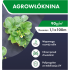 Agrotekstils / Agroplēve / dārza pārsegs pret nezālēm 90g/m2 1,1x100m + tapas no FUNFIT GARDEN (FC4522)