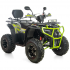 Benzīna kvadracikls ar vinču 250cm3, 1+1, 10" XTR Farmer 250 X1