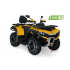 Benzīna kvadracikls Hisun GUARDIAN 750L, 735 cm3, 14" Euro5 (GUARDIAN750L)
