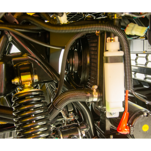 Benzīna kvadracikls ar vinču 300cm3, 12", 1+1, Gladiator 300 no Asix Motors