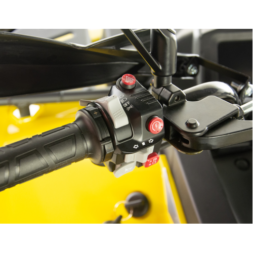 Benzīna kvadracikls ar vinču 300cm3, 12", 1+1, Gladiator 300 no Asix Motors