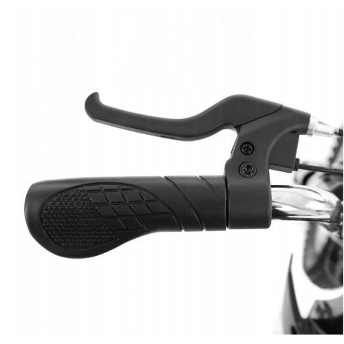 Bērnu elektrisks motocikls 36 V, 5,2 Ah 300 W no HECHT (HECHT 54300red)