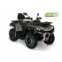 Benzīna kvadracikls Hisun GUARDIAN 550L, 546 cm3, 14" Euro5 (GUARDIAN550L)