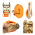 Divpunktu transporta jost 4m/50mm/3T no Kraft&Dele (KD1325)