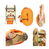 Divpunktu transporta jost 6m/50mm/3T no Kraft&Dele (KD1329)