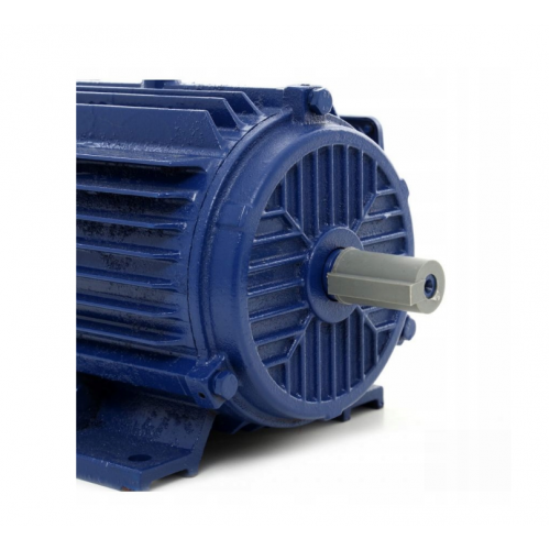 Elektromotors-22mm,4,0 kW,380V no Kraft&Dele  (KD1818)