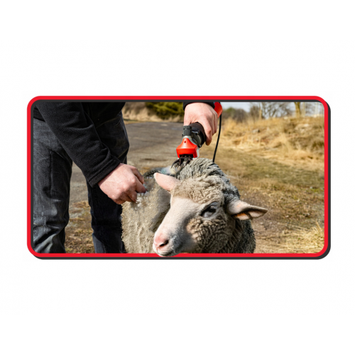 Elektriskā dzīvnieku, aitu griešanas mašīna - trimmeris 600 W, 2600 apgr./min no Red Technic (RTMDSO0147)