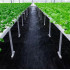 Agrotekstils / Agroplēve / dārza pārsegs pret nezālēm 1,1x100m (SDH182)