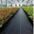 Agrotekstils / Agroplēve / dārza pārsegs pret nezālēm 70g/m 1,6x10m (SDH323)