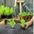 Agrotekstils / Agroplēve / dārza pārsegs pret nezālēm 70 g/m² / 1,6x100m (SDH184)