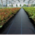 Agrotekstils / Agroplēve / dārza pārsegs pret nezālēm 90 g/m² 1,6x50m. (SDH320)
