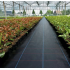 Agrotekstils / Agroplēve / dārza pārsegs pret nezālēm 90g/m2 1,6x100m SDH443