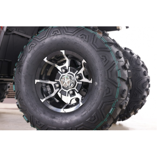 Benzīna kvadracikls ar vinču 200cm3, 10", 1+1, TITAN200RR no Asix Motors