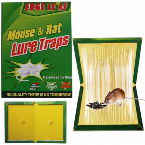 Многоразовая липкая ловушка против мышей и крыс, липкая мышеловка для борьбы с мышами и крысами (XA082small)