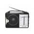 Radio FM AM SW tīkls, pārnēsājams (XJ4633)