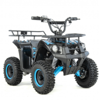 Bērnu elektriskais kvadracikls XTR E-M9/6 1000W, 36V-12Ah (XTR E-M9/6)