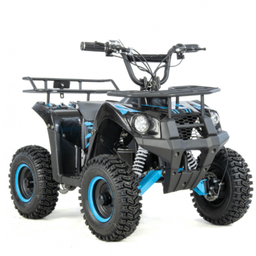 Bērnu elektriskais kvadracikls XTR E-M9/6 1000W, 36V-12Ah (XTR E-M9/6)