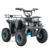 Bērnu elektriskais kvadracikls XTR E-M9/6 1000W, 36V-12Ah (XTR E-M9/6)
