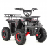 Bērnu elektriskais kvadracikls XTR E-M9/6 1000W, 36V-12Ah (XTR E-M9/6)