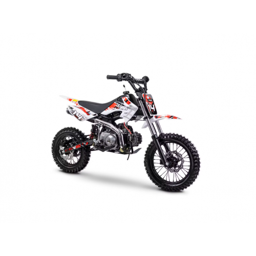 Benzīna krosa motocikls 110cm3 14"/12" 6,4 ZS / 6,5 Nm pusautomāt ZIPP DB 14 MINI CROSS no ROMET MOTORS (ZIPP DB 14)