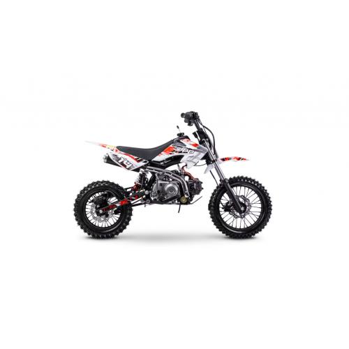Benzīna krosa motocikls 110cm3 14"/12" 6,4 ZS / 6,5 Nm pusautomāt ZIPP DB 14 MINI CROSS no ROMET MOTORS (ZIPP DB 14)