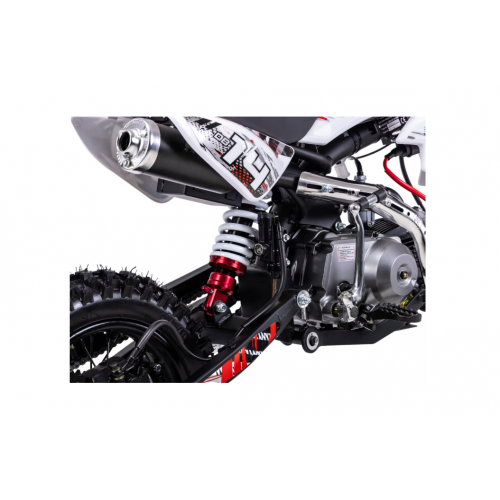 Benzīna krosa motocikls 110cm3 14"/12" 6,4 ZS / 6,5 Nm pusautomāt ZIPP DB 14 MINI CROSS no ROMET MOTORS (ZIPP DB 14)