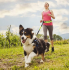 Gurnu josta skriešanai ar suni un elastīgo suņu pavadu komplektu (HN2018)